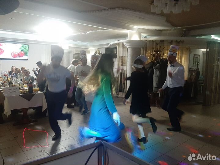 Ведущий+ диджей с музыкальной аппаратурой