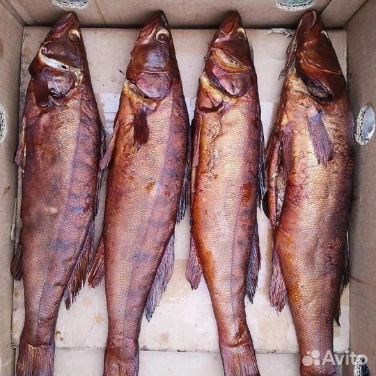Горячее копчение рыбы