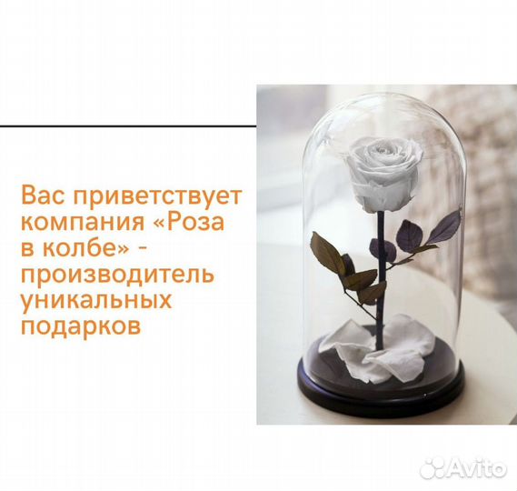 Роза в колбе. От производителя