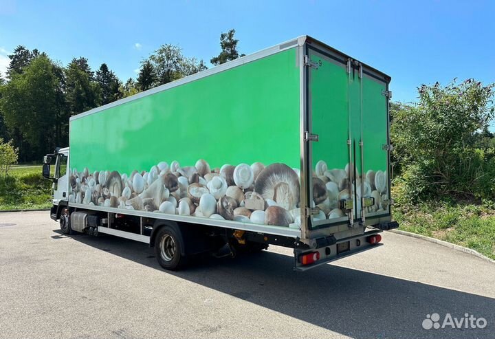 IVECO EuroCargo, 2014