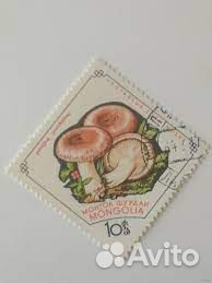 Марки флора фауна