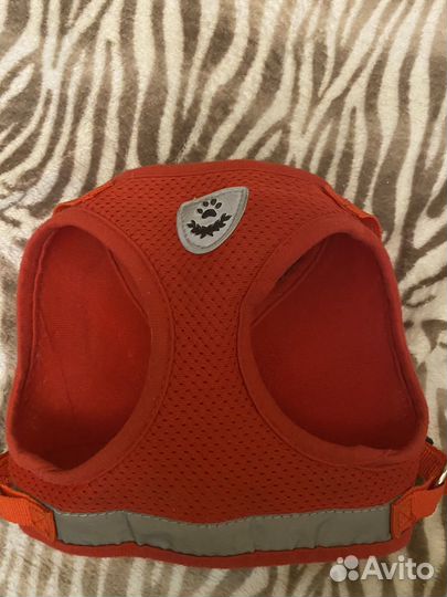 Анатомическая шлейка для собак