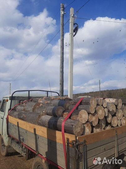 Продам дрова чурками сосна листвяк