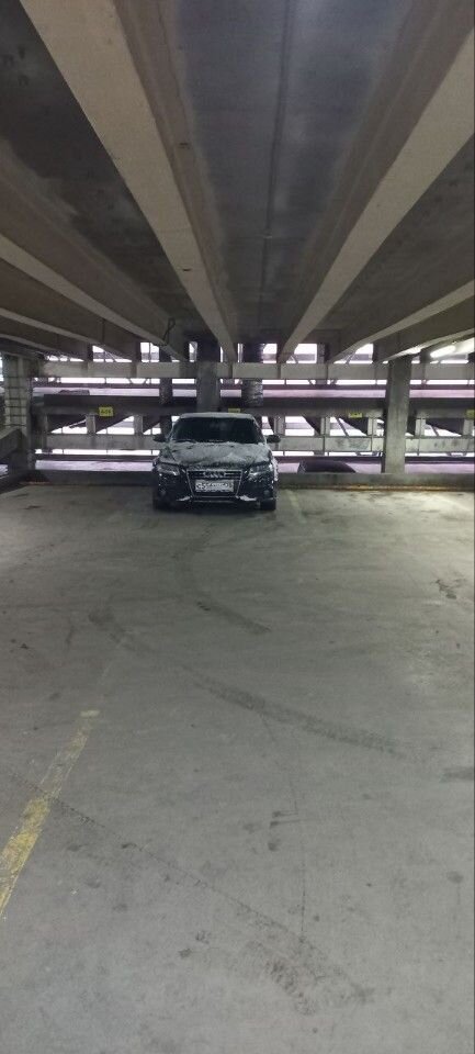 Audi A4: фото владельца