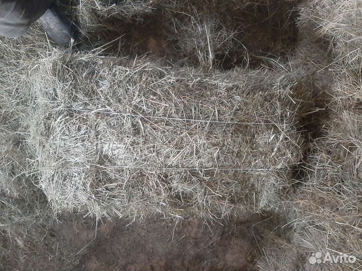 Сено луговое в тюках