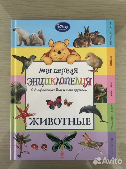 Энциклопедия для детей