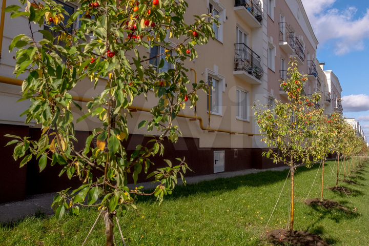 2-к. квартира, 57,3 м², 3/3 эт.