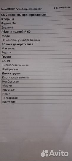 Саженцы яблони м 9 и мм 106 зимних и летних сортов