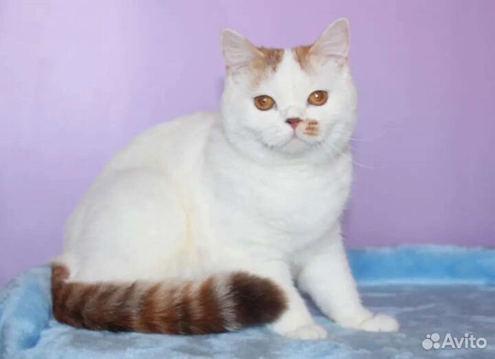 В Добрые ручки