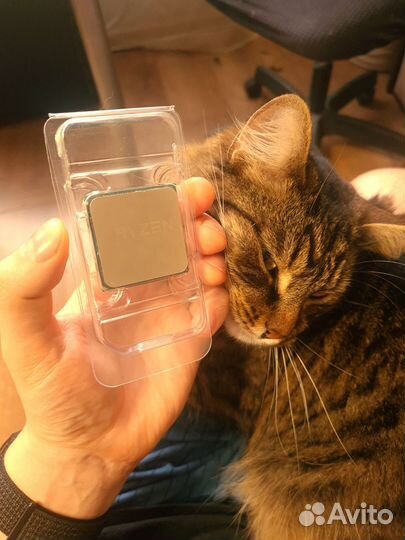 AMD Ryzen 7 PRO 1700X