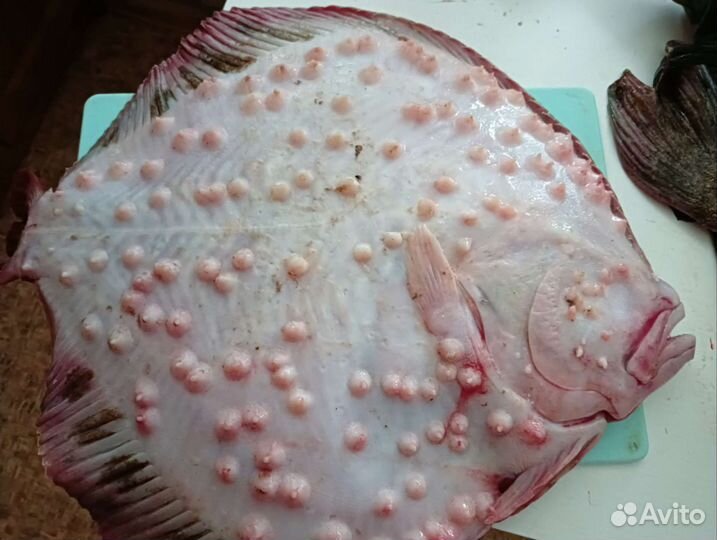 Свежая рыба