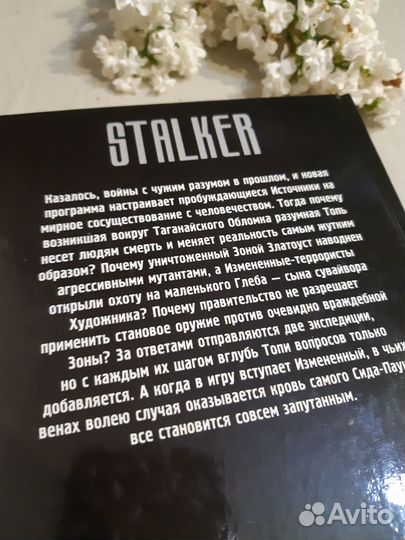 Книга сталкер. Топь