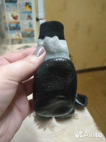 Обувь для собак