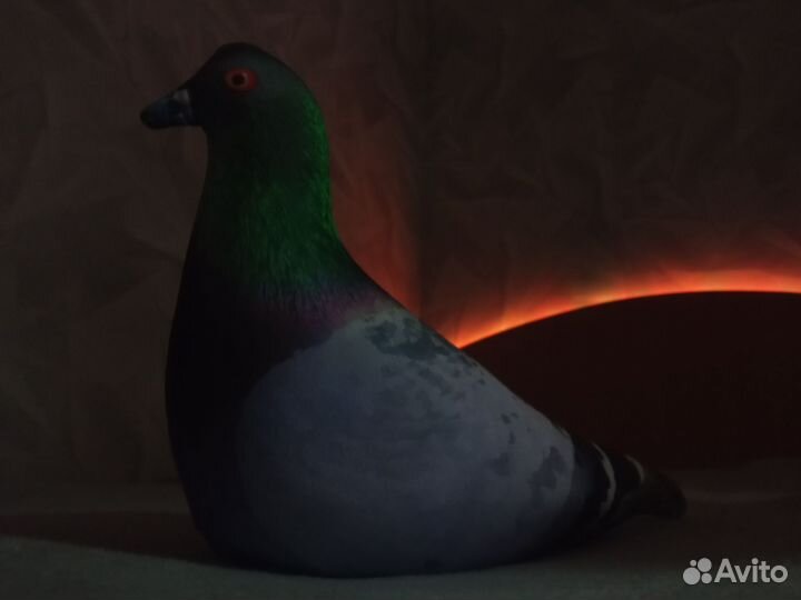 Мягкая игрушка голубь