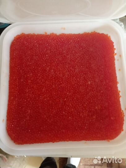 Красная икра горбуши