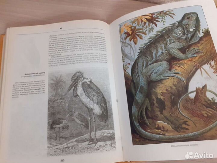 Энциклопедия