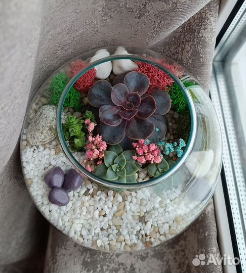 Флорариум-подарок близким