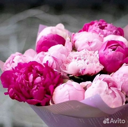 Пионы Цветы Доставка