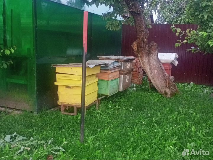 Улей для пчел