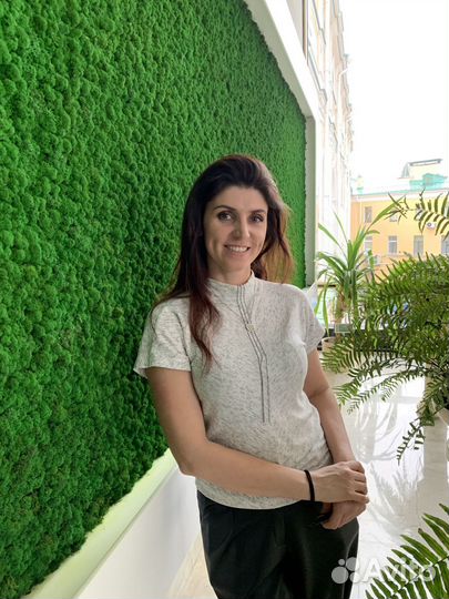 Панно из мха