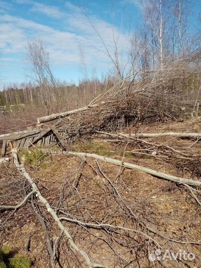 Дрова березовые и осиновые