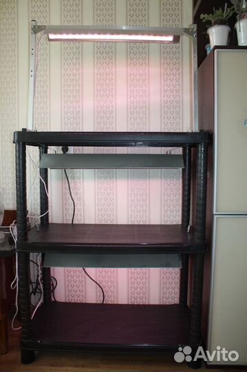 Стеллаж с фитолампами