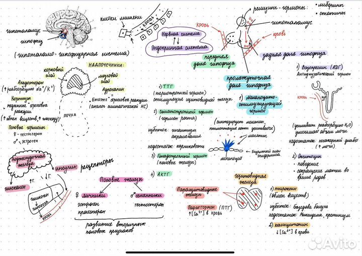 Репетитор по математике, биологии, географии