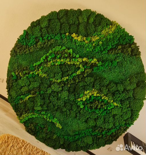 Стабилизированный мох - озеленение