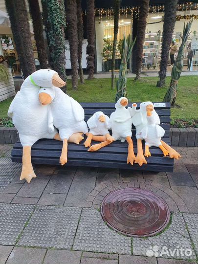 Гусь обимусь