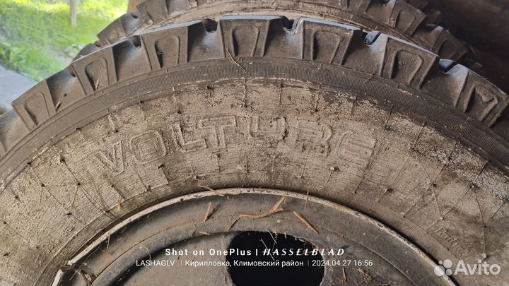 Резина,шины на газ 53