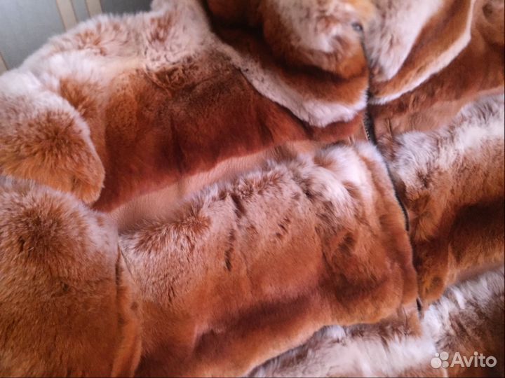 Автоледи шиншилла