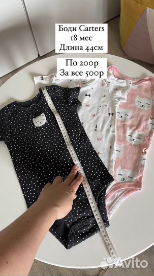 Боди carters