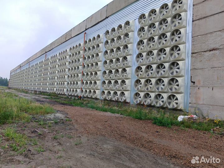 Отель для майнинга 40 мВт