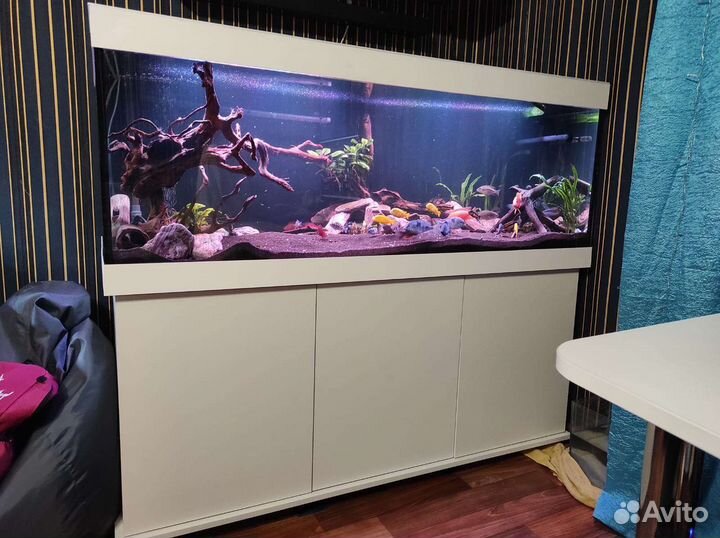 Аквариумы на заказ и в наличии