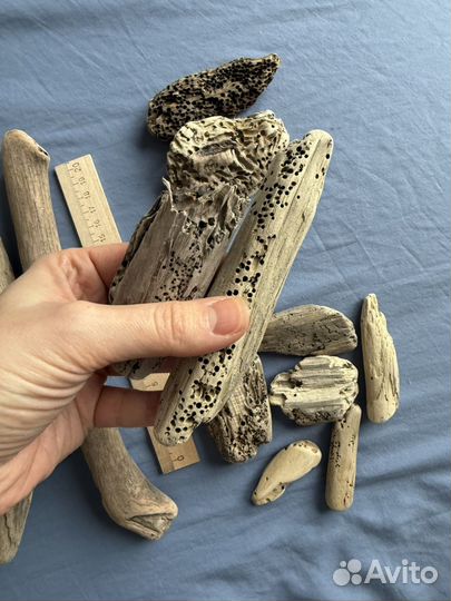 Дрифтвуд набор