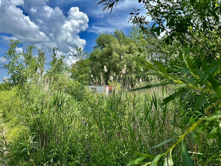 Участок 33 сот. (ИЖС)