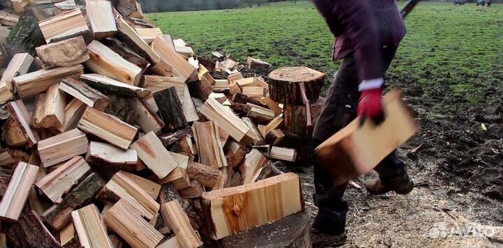 Береза осина ольха дрова