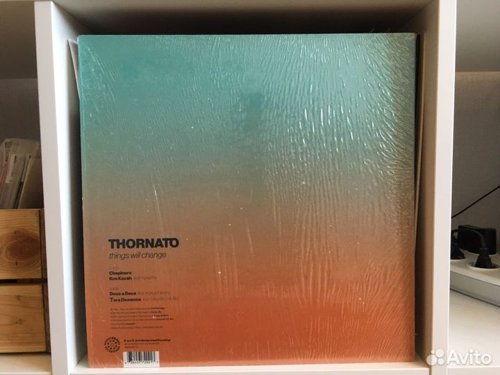Thornato/things will change/Виниловая Пластинка