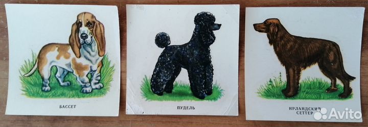 Переводные картинки СССР, гдр