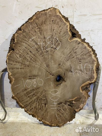 Спилы орех дуб карагач клен