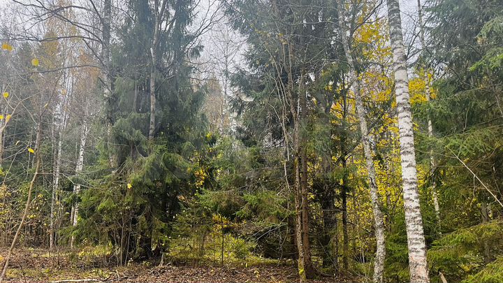 Участок 11,9 сот. (ИЖС)