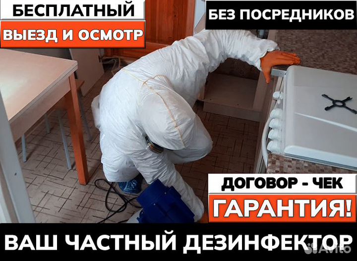 Уничтожение клопов тараканов дезинфекция плесени