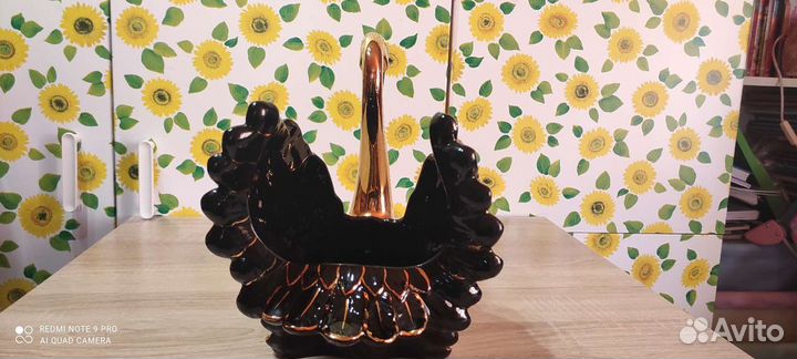 Лебедь чёрный Dipinto amano