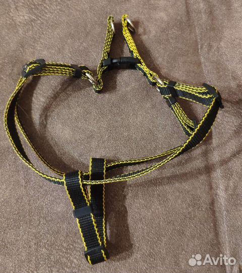 Шлейка, ошейник, поводок