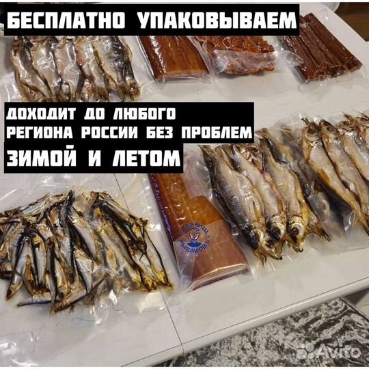 Астраханская вобла