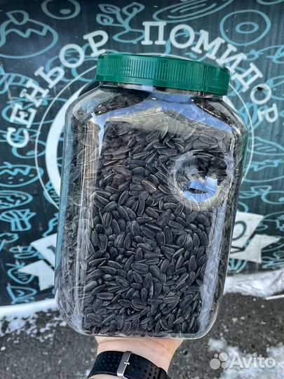 Семечки подсолнечника весовые