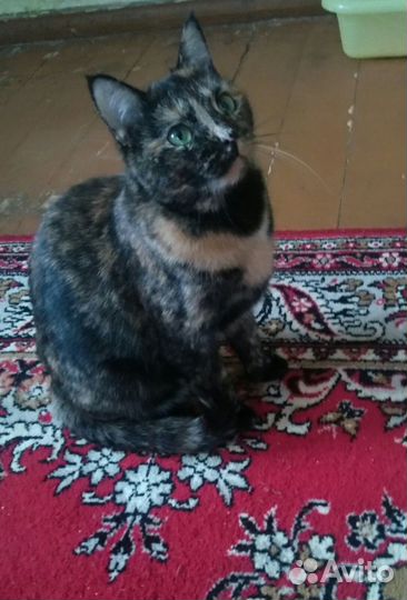 Карамелька