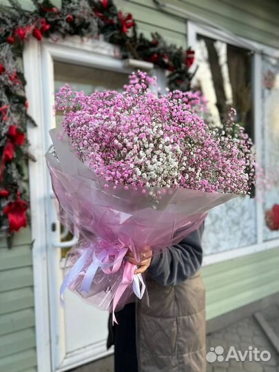 Гипсофила в коробке