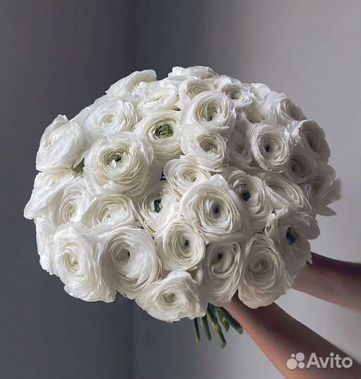 Ранункулюсы букет