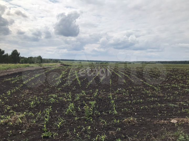 Участок 2,77 га (СНТ, ДНП)